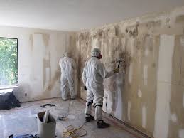 Best Black Mold Removal  in Sam Rayburn, TX